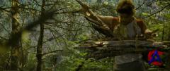    / Into the Wild