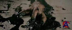  / Splinter