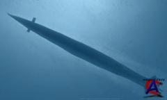 Silent Hunter 4:   
