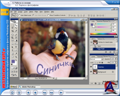  .      Photoshop CS2