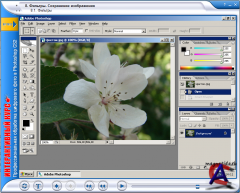  .      Photoshop CS2