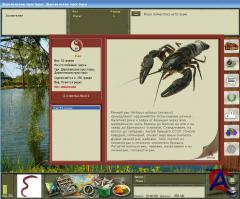   Installsoft Edition 2.4