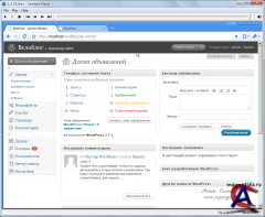 Wordpress -     