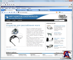 Wordpress -     