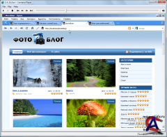 Wordpress -     