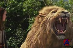  : ,     / The Chronicles of Narnia: The Lion, the Witch and the Wardrobe