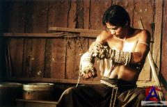  :   (. Ong-Bak: Muay Thai Warrior)