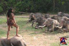  2:  (. Ong Bak 2: The Beginning)