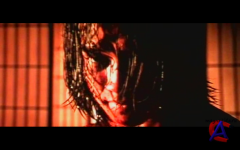 - / Ninja Assassin
