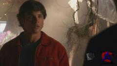   / Smallville (5 )