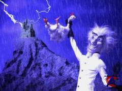  (1 ) / Robot Chicken (1 season)