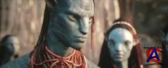 / Avatar (   )