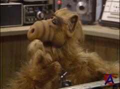  / Alf [ 1]