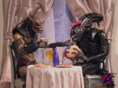  (2 ) / Robot Chicken (2 season)