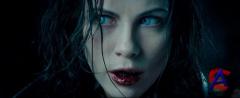   2:  / Underworld: Evolution
