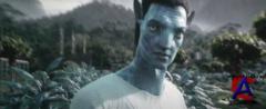  / Avatar (   )