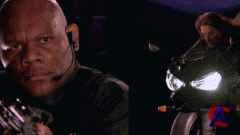   / Bitch Slap