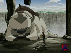 :    ( 3  ) / Avatar: The Last Airbender (Book 3 Fire)