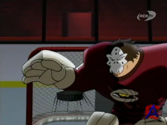   () / Mighty Ducks: The Animated Series