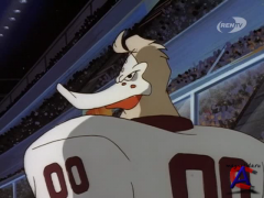   () / Mighty Ducks: The Animated Series