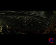   :  /Aliens vs. Predator Requiem