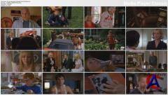   / Cheaper by the Dozen