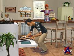 Sims 2 16  1 DVD  2 DVD