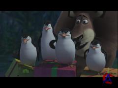   / Merry Madagascar