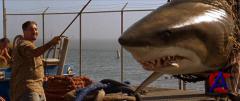    / Deep Blue Sea