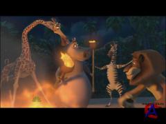   / Merry Madagascar