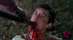    3 / Wrong Turn 3: Left for Dead