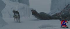   / Eight Below