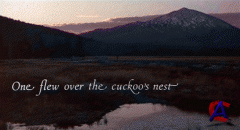    / One Flew Over the Cuckoos Nest