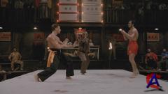   / Bloodsport
