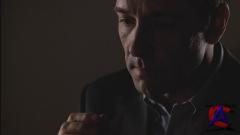  - / American Beauty