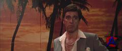    / Scarface