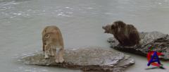  / Ours, L [HD]
