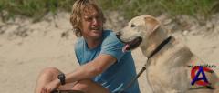   / Marley & Me