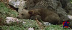  / Ours, L [HD]