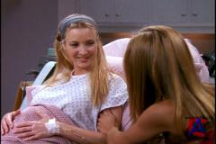  (5 ) / Friends (Season 5)