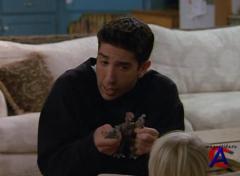  (2 ) / Friends (Season 2)