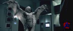   / Daybreakers