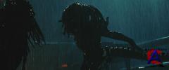   :  / Aliens vs. Predator Requiem [HD]