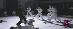   / Yip Man