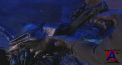  2 / Predator 2 [HD]