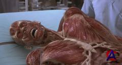  / Hollow Man