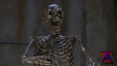    2 / Scary Movie 2