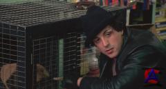  / Rocky