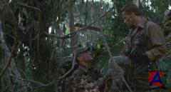  / Predator [HD]