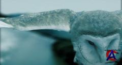 Within Temptation - Mother Earth